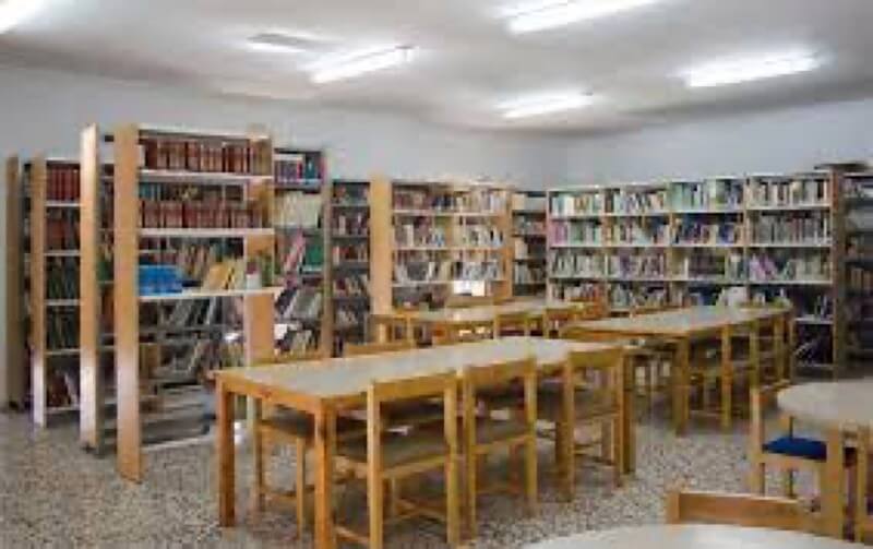 biblioteca Villanueva del Duque
